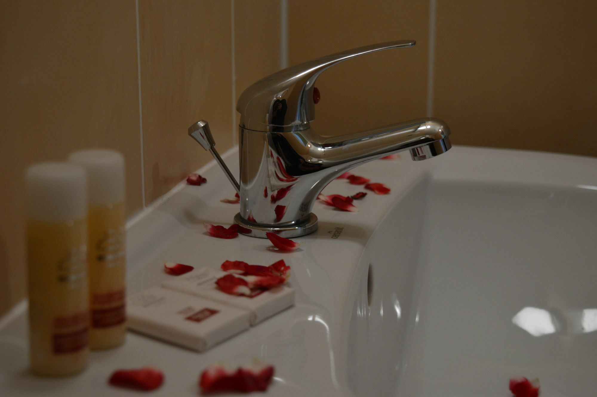 Sunrise Hotel Droogenbosch Εξωτερικό φωτογραφία